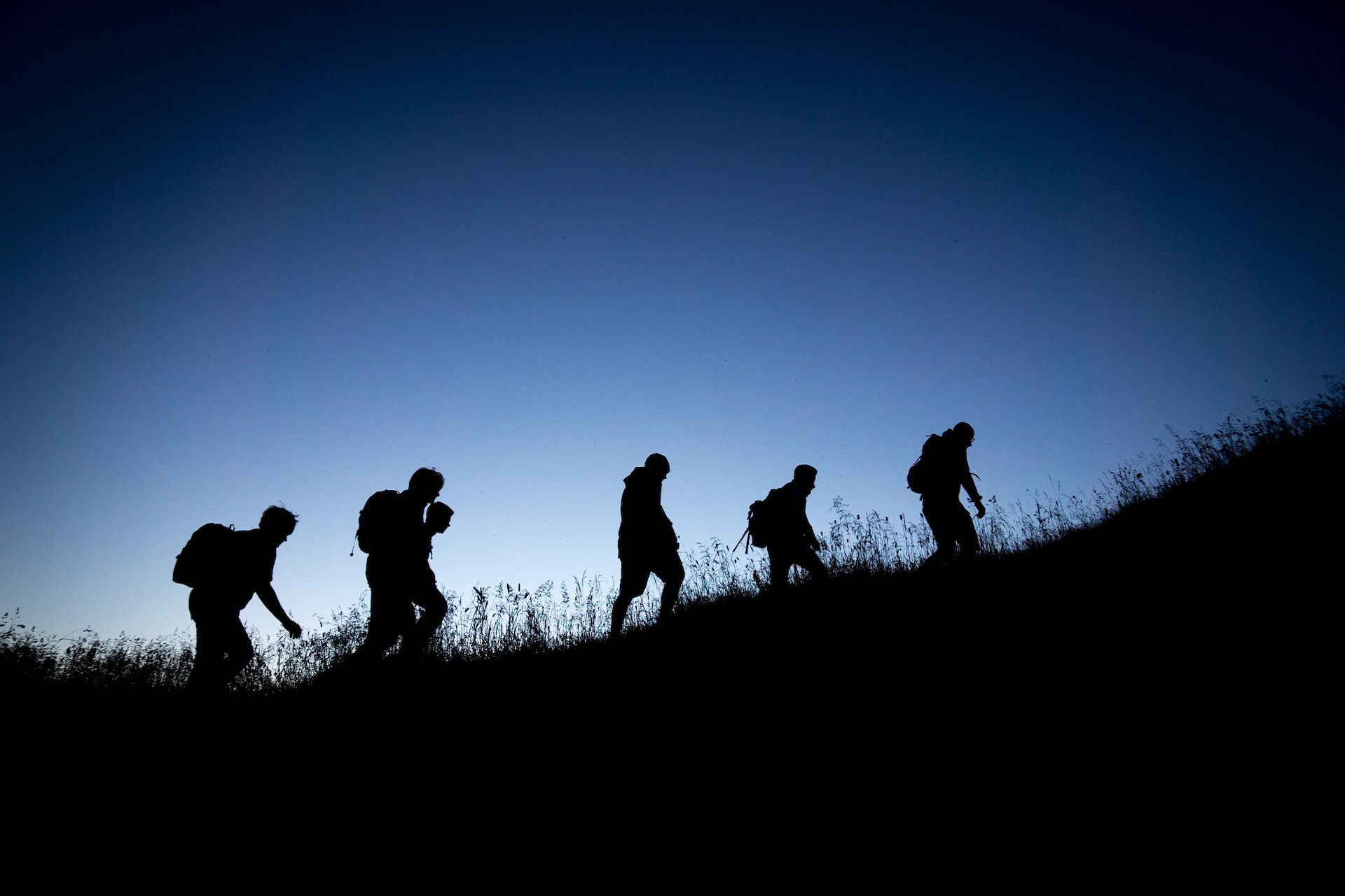 Night Trek